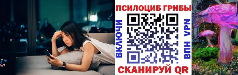 хочу Афипский Псилоцибиновые грибы Psilocybe